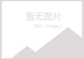 兰山区慕青音乐有限公司